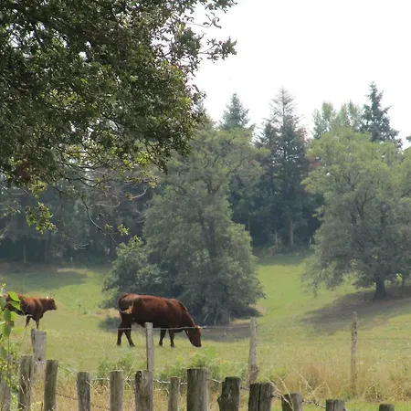 Camping Moulin De Chaules Saint-Constant