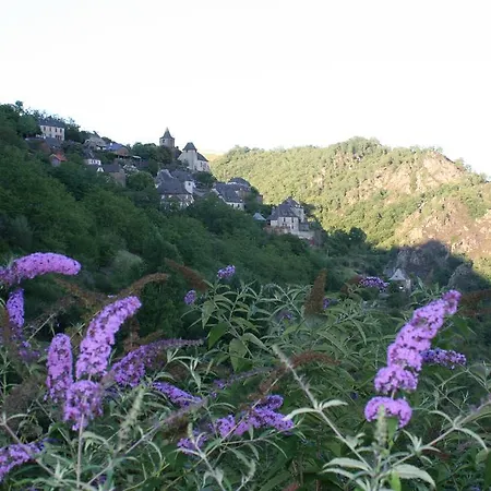 Camping Moulin De Chaules