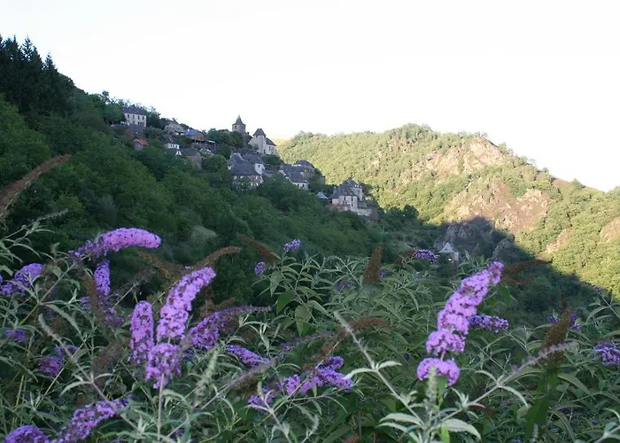 Campingplatz Moulin De Chaules