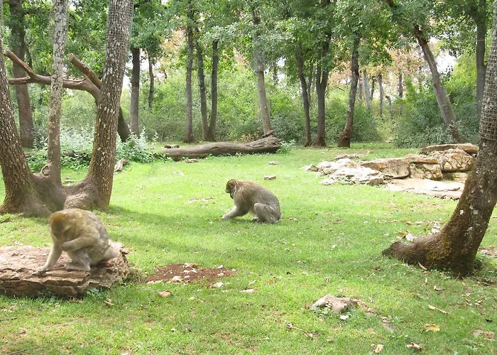 Moulin De Chaules 3*
